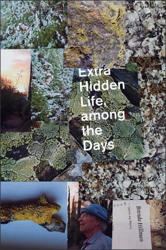 Cover image for Extra Hidden Life, among the Days