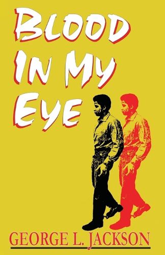 Cover image for Blood in My Eye