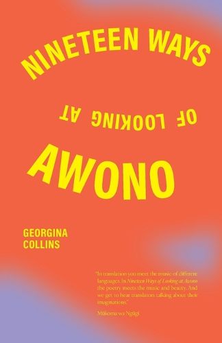 Cover image for Nineteen Ways of Looking at Awono