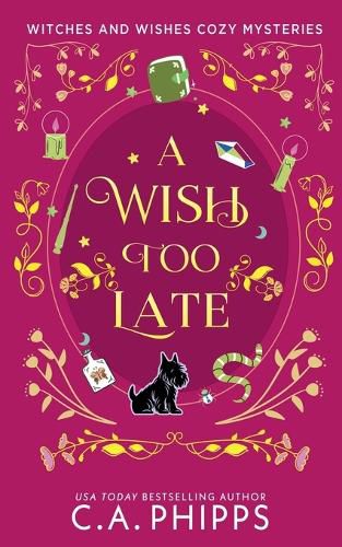 Cover image for A Wish Too Late
