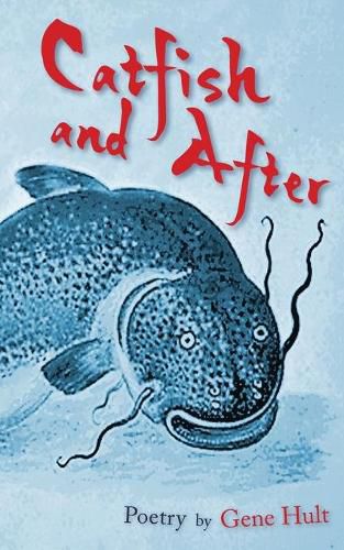 Cover image for Catfish and After