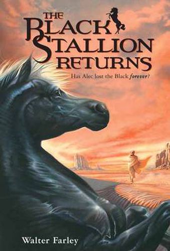 Cover image for The Black Stallion Returns