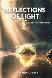 Cover image for Reflections of Light