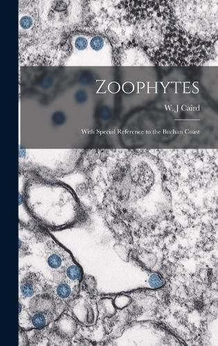 Cover image for Zoophytes