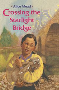 Cover image for Crossing the Starlight Bridge