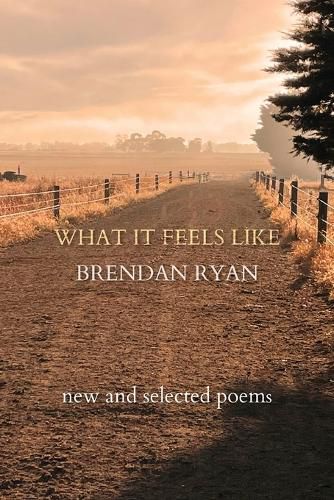 Cover image for What It Feels Like