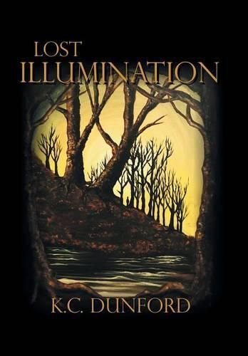 Cover image for Lost Illumination