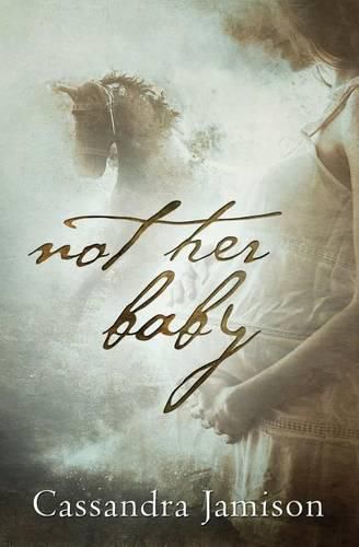 Cover image for Not Her Baby