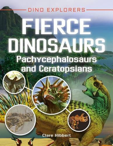 Cover image for Fierce Dinosaurs: Pachycephalosaurs and Ceratopsians