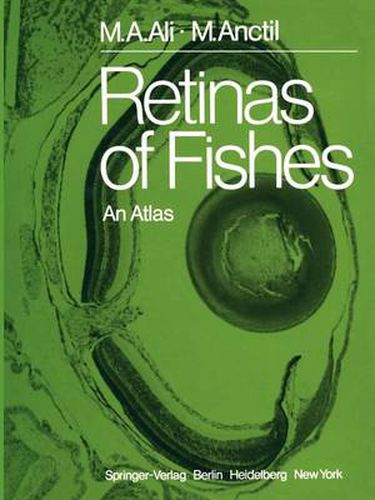 Cover image for Retinas of Fishes: An Atlas