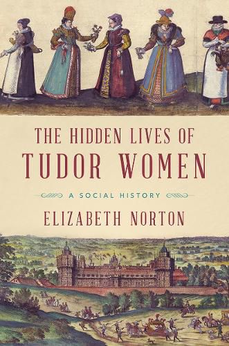 Cover image for The Hidden Lives of Tudor Women: A Social History