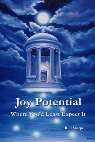 Cover image for Joy Potential; Where You'd Least Expect It