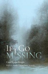 Cover image for If I Go Missing