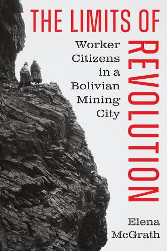 Cover image for The Limits of Revolution