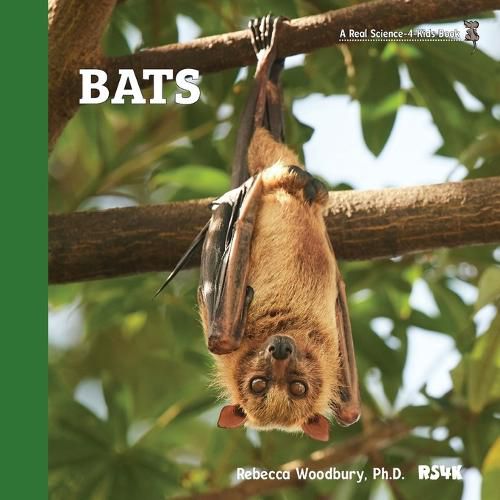 Cover image for Bats