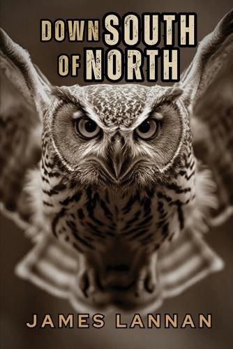 Cover image for Down South of North