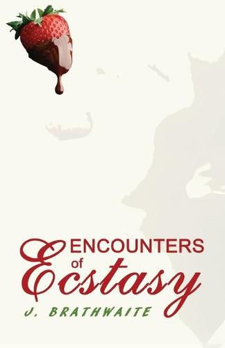 Cover image for Encounters of Ecstasy