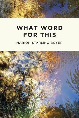 Cover image for What Word for This