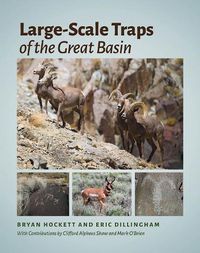 Cover image for Large-Scale Traps of the Great Basin