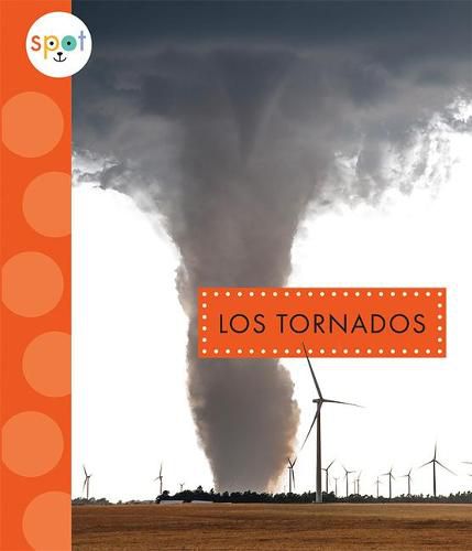 Cover image for Los Tornados
