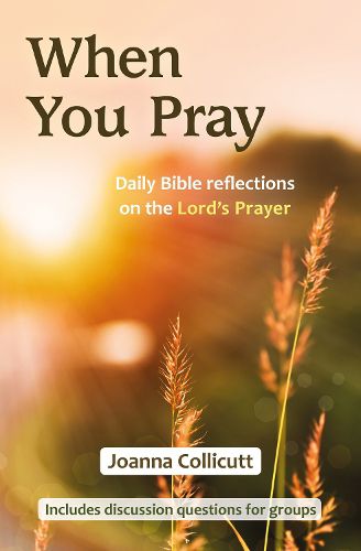 Cover image for When You Pray: Daily Bible reflections on the Lord's Prayer