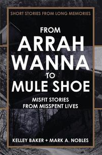 Cover image for From Arrah Wanna to Mule Shoe: Misfit Stories from Misspent Lives