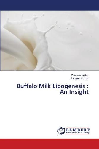 Cover image for Buffalo Milk Lipogenesis: An Insight