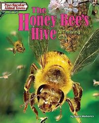 Cover image for The Honey Bee's Hive: A Thriving City