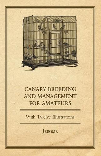 Cover image for Canary Breeding and Management for Amateurs with Twelve Illustrations