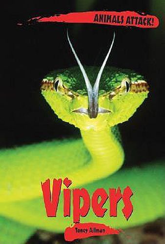 Cover image for Vipers