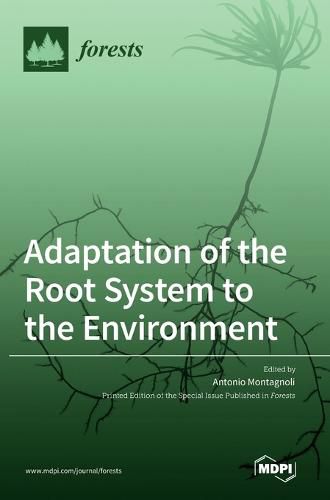 Cover image for Adaptation of the Root System to the Environment