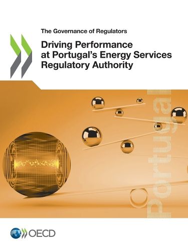 Cover image for Driving performance at Portugal's Energy Services Regulatory Authority