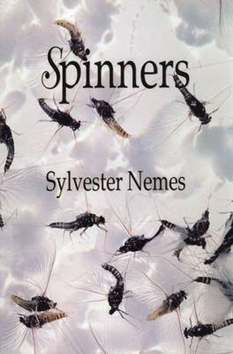 Cover image for Spinners