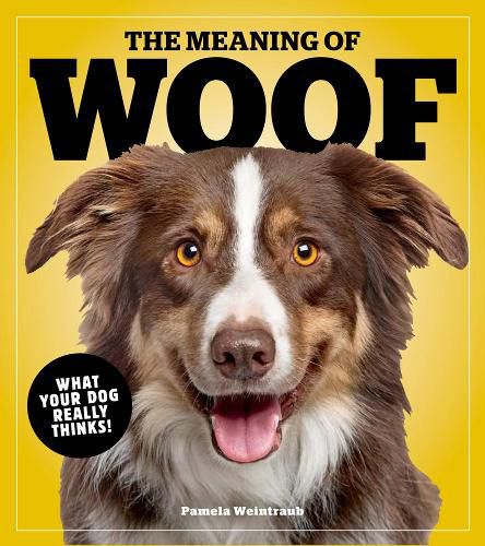 Cover image for The Meaning Of Woof: What Your Dog Really Thinks!