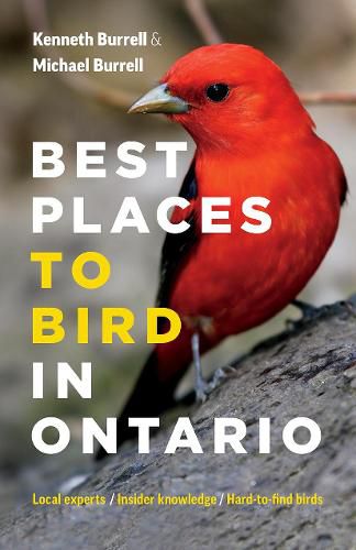 Cover image for Best Places to Bird in Ontario