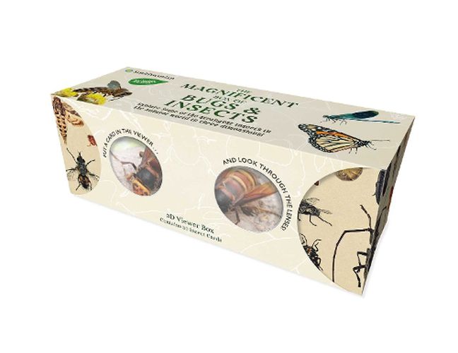 Cover image for The Magnificent Box of Bugs and Insects