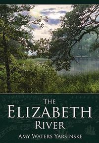 Cover image for The Elizabeth River