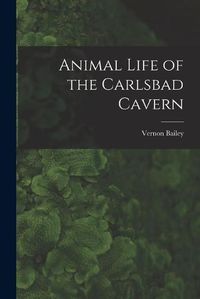 Cover image for Animal Life of the Carlsbad Cavern