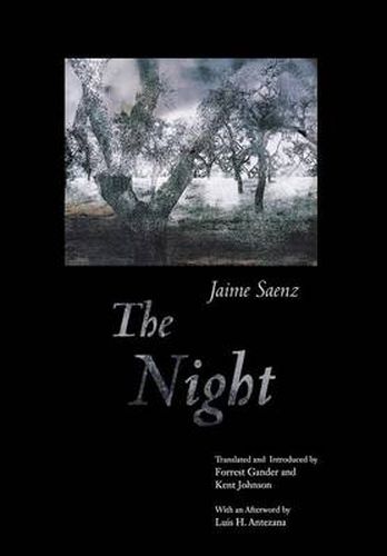 The Night: A Poem by Jaime Saenz