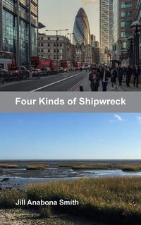 Cover image for Four Kinds of Shipwreck