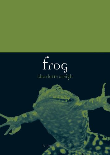 Cover image for Frog