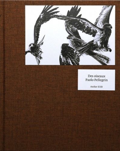 Cover image for Paolo Pellegrin - Des Oiseaux