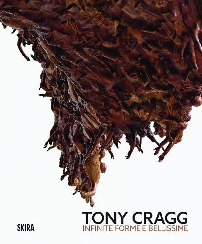 Cover image for Tony Cragg (Bilingual edition)