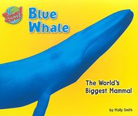 Cover image for Blue Whale: The World's Biggest Mammal