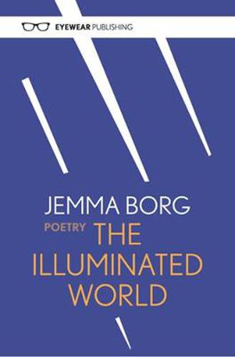 Cover image for The Illuminated World