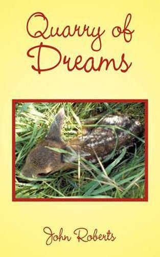 Cover image for Quarry of Dreams