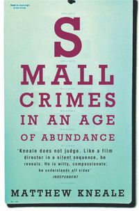 Cover image for Small Crimes in an Age of Abundance