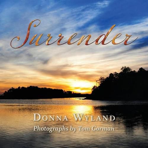 Cover image for Surrender