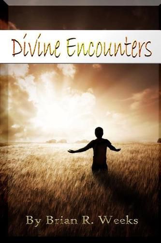 Cover image for Divine Encounters