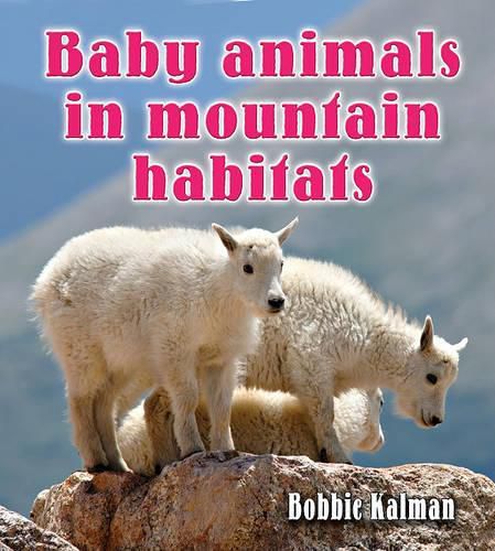 Cover image for Baby Animals in Mountain Habitats